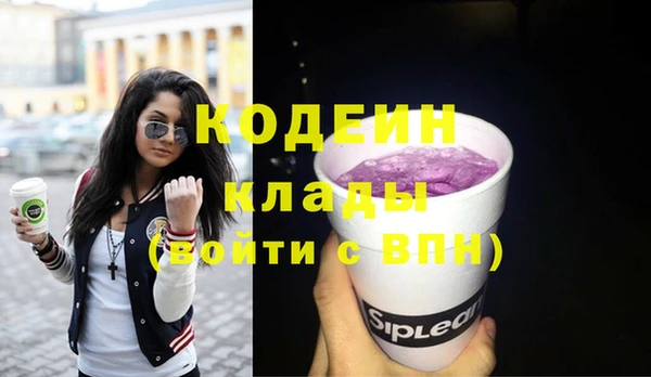 сатива Сясьстрой