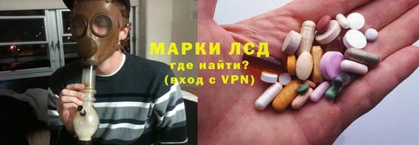 сатива Сясьстрой