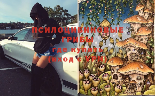 гидропоника Тавда