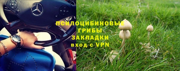 сатива Сясьстрой