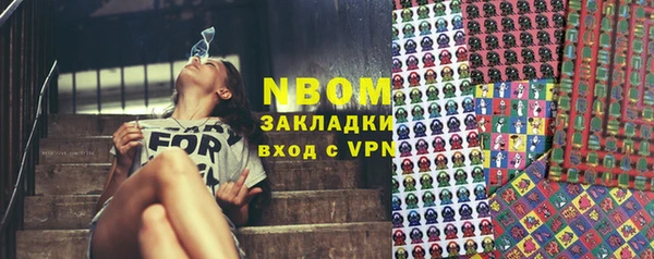 сатива Сясьстрой