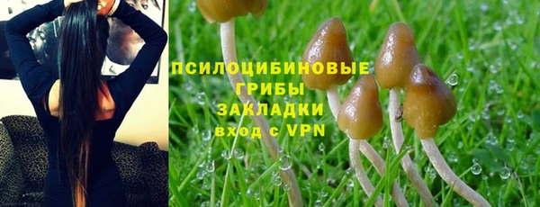 гидропоника Тавда