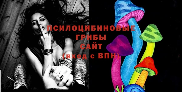 гидропоника Тавда