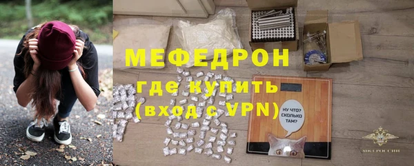 сатива Сясьстрой