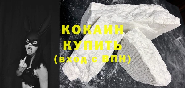 сатива Сясьстрой