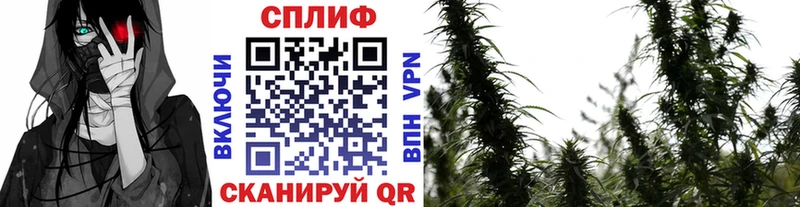 Шишки марихуана тримм Купить где Игарка